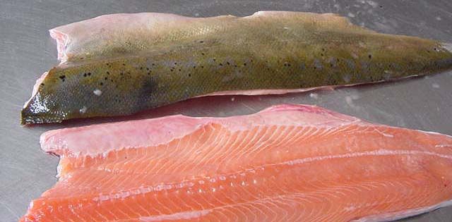 Salmão em filetes
